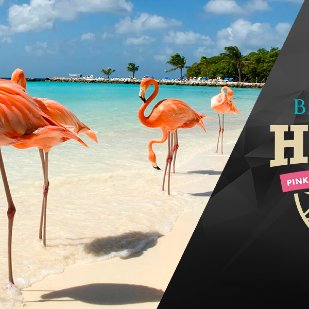 Florida, Ohio State join Baha Mar Hoops Pink Flamingo Championship field as 2023 pairings are announced
