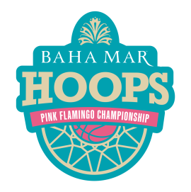 bmh-pink-flamingo-teal